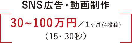 劇場CM 100万円〜/半年間（15〜60秒）