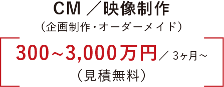 CM/映像制作（企画制作・オーダーメイド）300〜3,000円/3ヶ月〜（見積無料