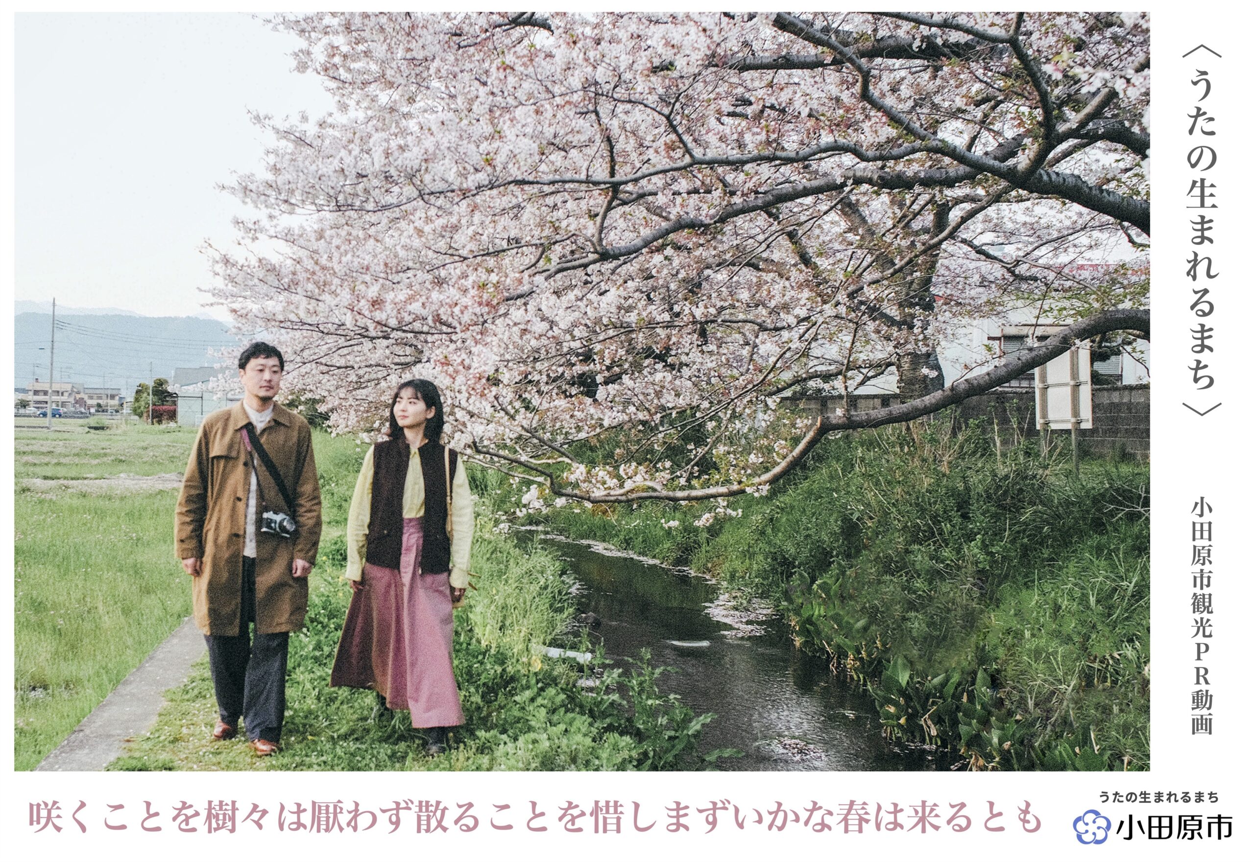 日本画「小田代ヶ原」 落葉が進む「今」だからこそ歩こう！小田代原・戦場ヶ原♪＜2024